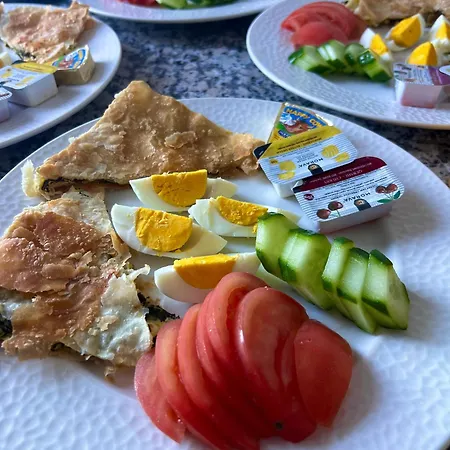 Aloha House Σκόδρα