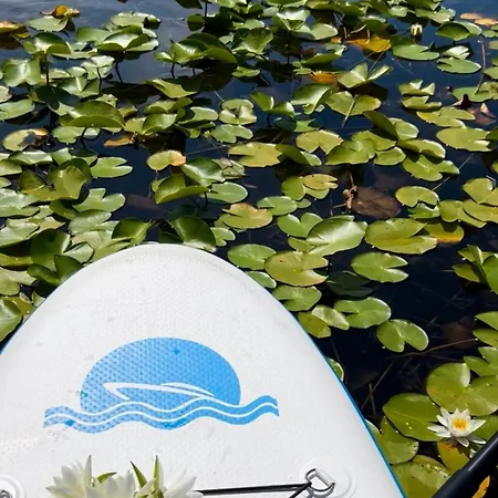 Aloha House Πανσιόν 3*