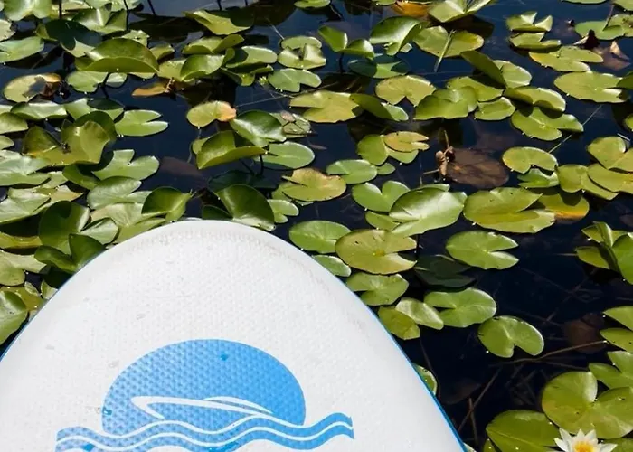 Aloha House Konukevi 3*