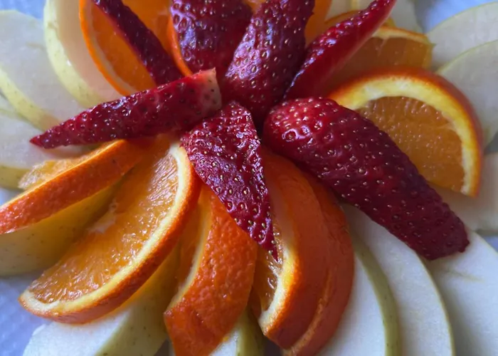 Aloha House Shkodër